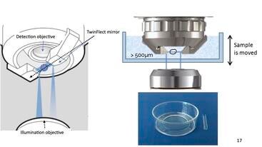 Leica Light-Sheet Extremely fast imaging of transparent samples