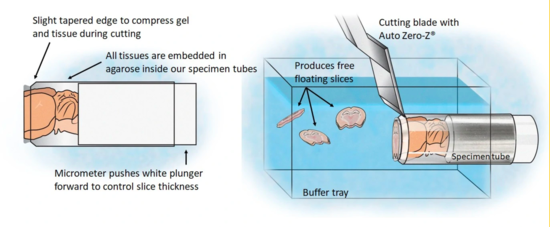 Compressed extruded sample can be cut at ten microns