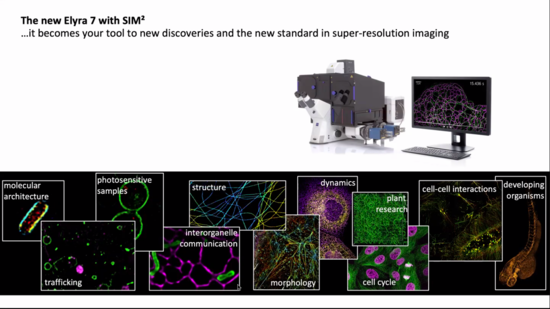 Elyra 7 SIM2 Fast and gentle super-resolution Lattice SIM2